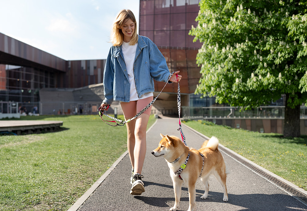 Passear com seu pet é muito mais do que apenas uma atividade física: